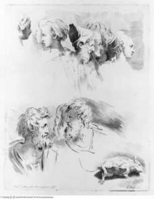 Raccolta di disegni originali di Fra.co Mazzola detto il Parmigianino tolti dal gabinetto di Sua Eccellenza il Sig.re Conte Alessandro Sanvitale - (Tav.1) Männliche sowie weibliche Köpfe und eine tote Maus