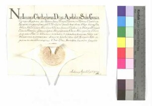 Urkunde über die Aufschwörung des Ellwanger Kapitularen Ignaz Desiderius von Peutingen.