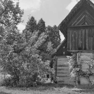 Strohgedecktes Blockhaus in Burg-Kolonie. : Ze słomu kryta kładźita chěža w Prizaŕskich Bórkowach.