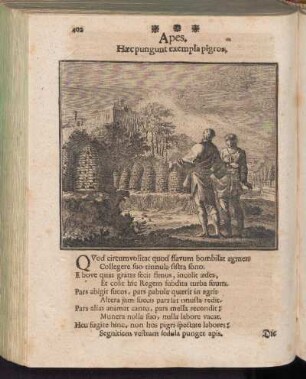 Apes - Die Bienen