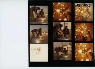 COOP, 1981
