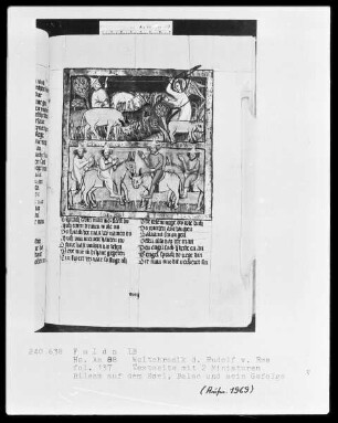 Rudolf von Ems, Weltchronik — ---, Folio 137rectoMiniatur