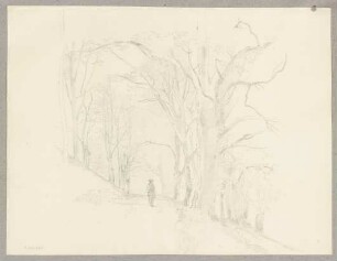 Waldweg mit Wanderer