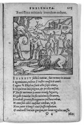 Fortissima minimis interdum cedunt.