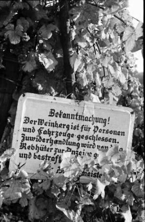 Ballrechten-Dottingen, Ballrechten: Verbotstafel am Weinberg