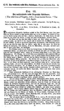 Cap. IX. Der wohlriechende wilde virginische Apfelbaum. Pyrus coronaria. Lin.