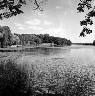 Herrenteich: im Vordergrund Ufer bei Matthias-Claudius-Straße, Seerosenblüte, Wassergras: hinten Mitte und links Westufer mit Badeanstalt: Bildrand oben herabhängende Zweige