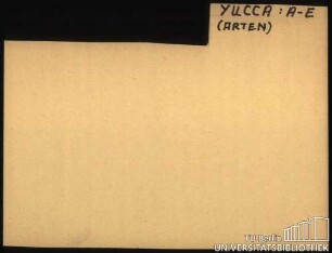YUCCA: Allgemein; Arten A-E