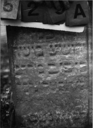 Grabstein 529 (Index: 100115423) Material: Sandstein Zustand: stark verwittert mit erheblichem Textverlust Beschreibung: Doppelstele mit doppeltem Rundbogen, eingetieftes Schriftfeld Symbolik: Cohanim-Hände Besonderheit: Doppelgrab (für Geschwister?); - keine Maßangaben: Grabstein 529A