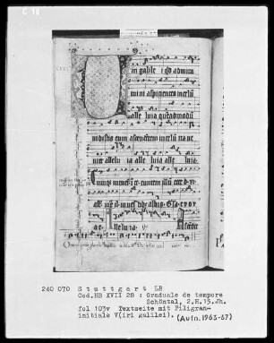Graduale de Tempore — Initiale V(iri galilei), Folio 103verso