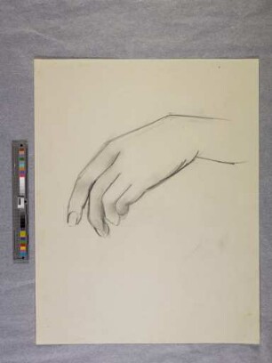 o. T. (Hand; aus dem Aktzeichnen an der Burg Giebichenstein Halle)