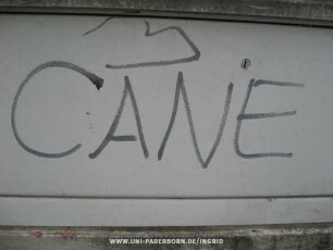 CANE