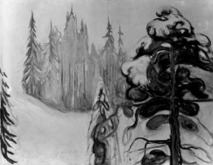 Verschneiter Tannenwald