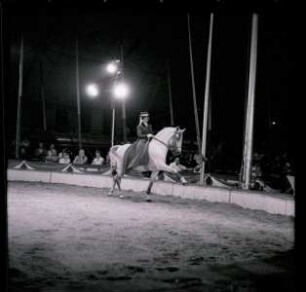 Circus Williams - Vorstellung - Tiere, ohne Ortsangabe, 1959