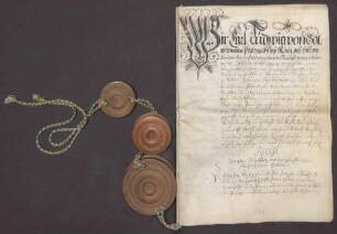 Ratifikation der zwischen dem Markgrafen Wilhelm von Baden-Baden und Friedrich VI. von Baden-Durlach und dem Kurfürsten Karl Ludwig von der Pfalz abgeschlossenen Vergleiche vom 21. und 31.07.1669