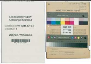Entnazifizierung Wilhelmine Dehnen , geb. 04.01.1901 (Prokuristin)