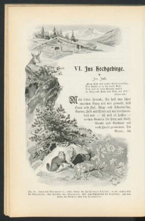 VI. Ins Hochgebirge.