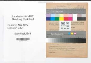 Entnazifizierung Emil Sternkopf , geb. 09.11.1900 (Polizist)