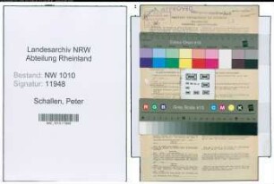 Entnazifizierung Peter Schallen , geb. 11.03.1907 (Kaufmann)