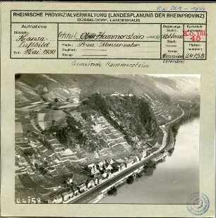 Hammerstein