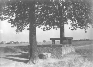 Aussichtspunkt mit Steinbänken : Dresden-Räcknitz, Räcknitzhöhe. Aussichtspunkt mit Steinbänken