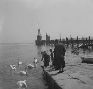 Konstanz. Hafen, Spaziergänger füttern Schwäne