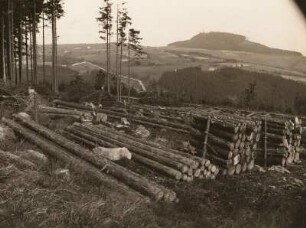 Osterzgebirge. Holzschlag am Geising