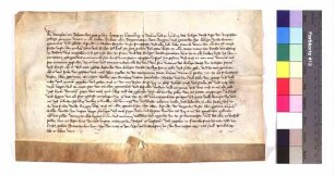 Wenzel als Reichsvikar sendet den Städten in Niederschwaben den Günther Sockler von Bamberg zur Erhebung der fälligen Reichssteuern.