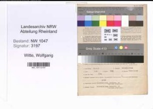 Entnazifizierung Wolfgang Witte , geb. 18.02.1903 (Haendler)