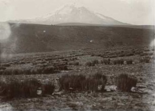 Chimborazo von Cunucyacu, aus Norden