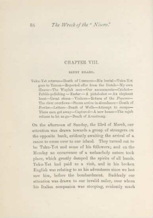 Chapter VIII. Sandy Island