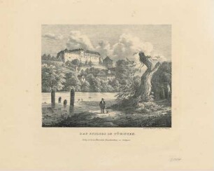 Das Schloss in Tübingen : Lithographie