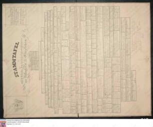 Stammtafel des Freiherrlichen Hauses v. Bellersheim gen. Stürzelsheim