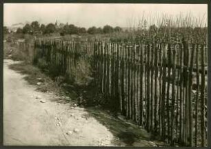 Gartenzaun