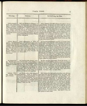 Fünfte Tafel.