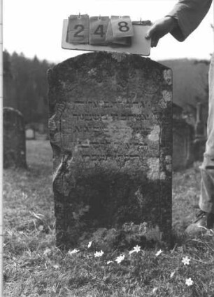Grabstein 248 (Index: 100009219) Zustand: leicht verwittert Maße HxBxT: 85x50x14 cm: Grabstein 248