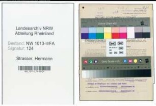 Entnazifizierung Hermann Strasser , geb. 09.04.1882 (Abteilungsleiter)