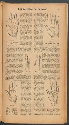 Los secretos de la mano