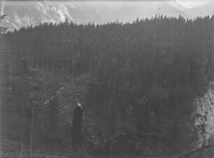 Wald im Gebirge : Blick auf einen Wald im Gebirge