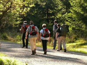 Wanderer auf dem Goetheweg zum Brocken