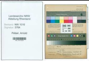 Entnazifizierung Arnold Pelser , geb. 05.05.1901 (Arbeiter)