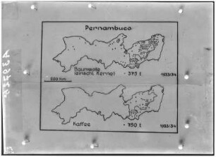 Baumwoll- und Kaffeeproduktion Pernambuco