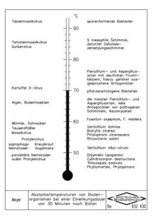 Absterbetemperaturen von Bodenorganismen bei einer Einwirkungsdauer von 30 Minuten nach Bollen