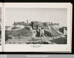 61. Burg von Aleppo.
