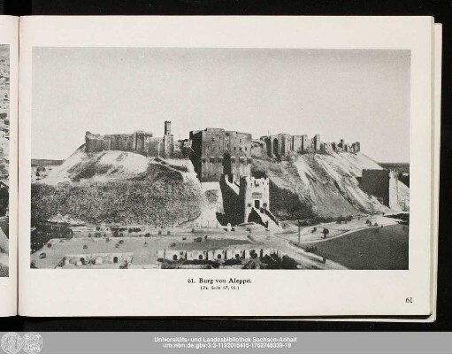 61. Burg von Aleppo.