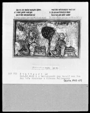 Weltchronik - Bruder Philipp — ---, Folio 1recto-256recto---, Folio 1recto-256rectoGideons Fellwunder, Folio 147verso