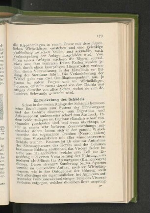 Entwickelung des Schädels.