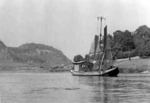 Aalfang auf der Mosel