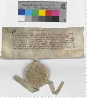 Elf Ratsmannen bekunden den Verkauf von 1/2 Fuder Salz aus Gererdinge [Sülzhaus] an Prior und Convent in Heiligenthal. [lat]