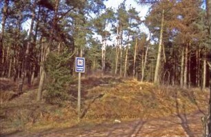 Ohe: Gräberfeld
